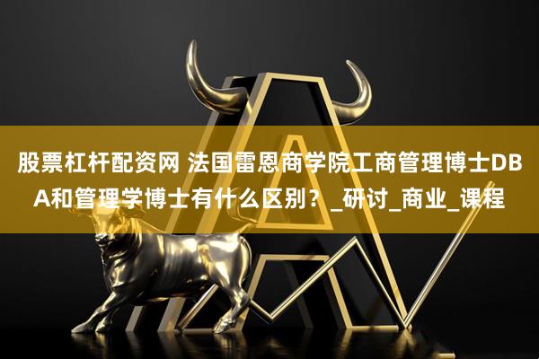 股票杠杆配资网 法国雷恩商学院工商管理博士DBA和管理学博士有什么区别？_研讨_商业_课程