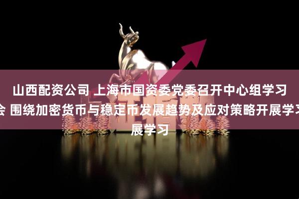 山西配资公司 上海市国资委党委召开中心组学习会 围绕加密货币与稳定币发展趋势及应对策略开展学习